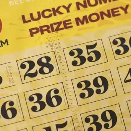 Singam Lottery: Unleash Your Luck and Discover Big Wins