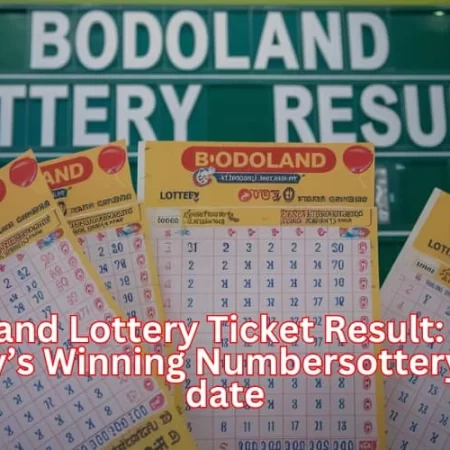 Bodoland Lottery Ticket Result: Check Today’s Winning Numbers